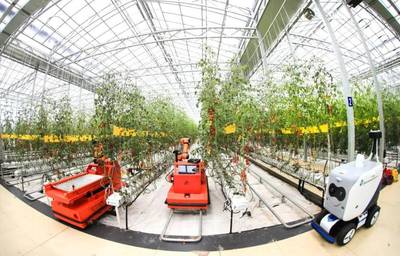 點點手機就能管理大棚，濰坊壽光以數字化賦能蔬菜產業升級