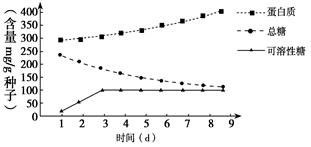 智能溫室的現(xiàn)代化無土栽培技術(shù) 高效生產(chǎn)之道